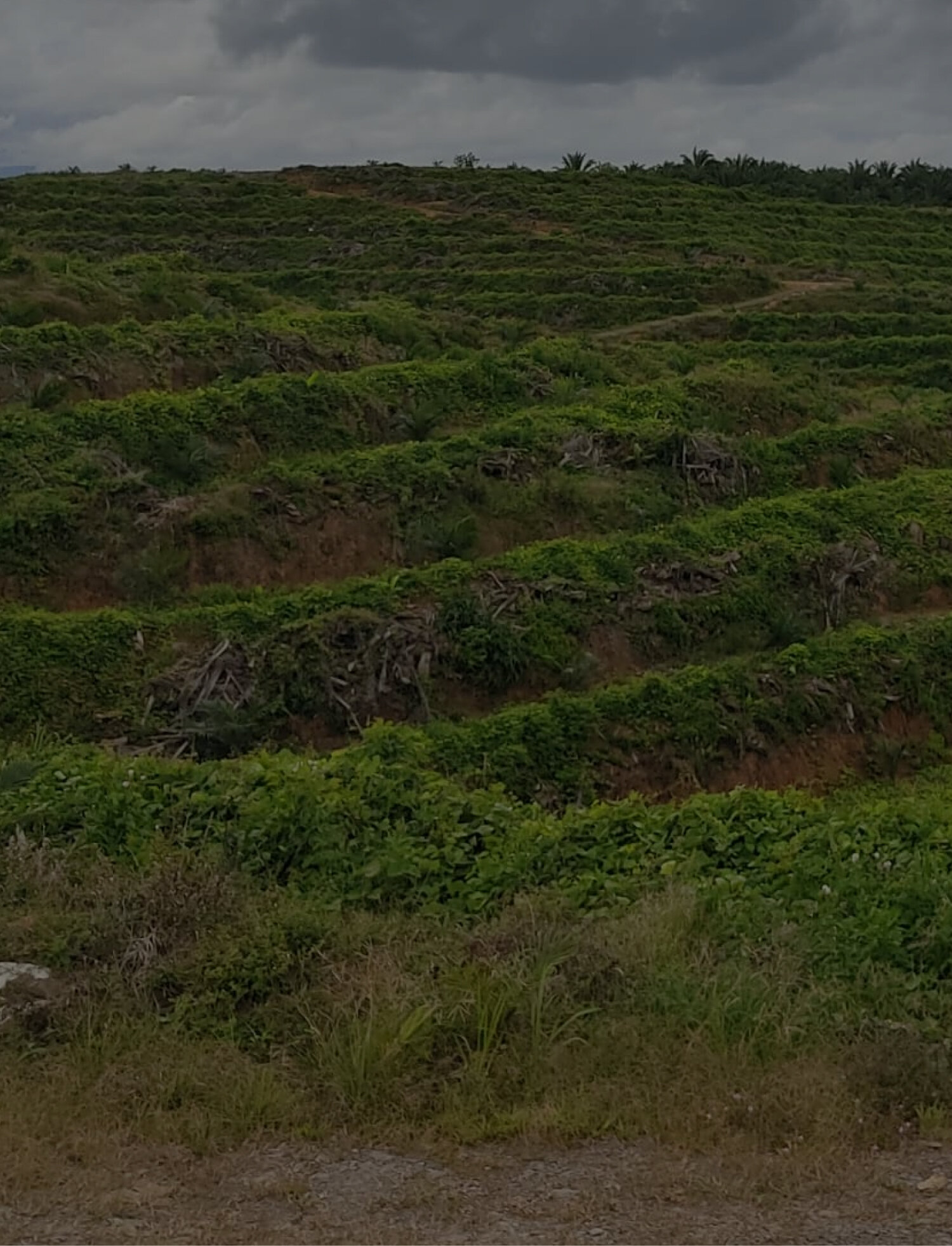 Looking For Land To Secure Future Growth